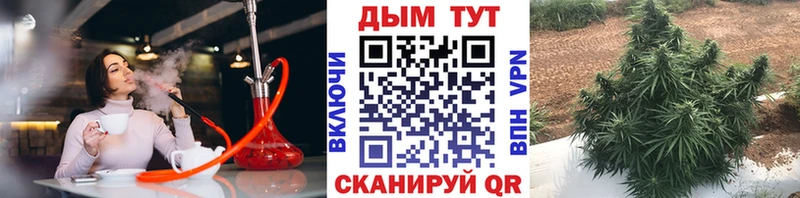 дарнет шоп  даркнет телеграм  Шишки марихуана OG Kush  Энем 